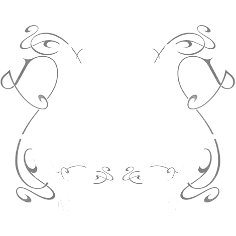Mondomago