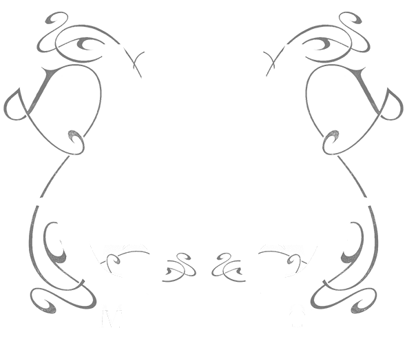 MONDOMAGO FOOTER